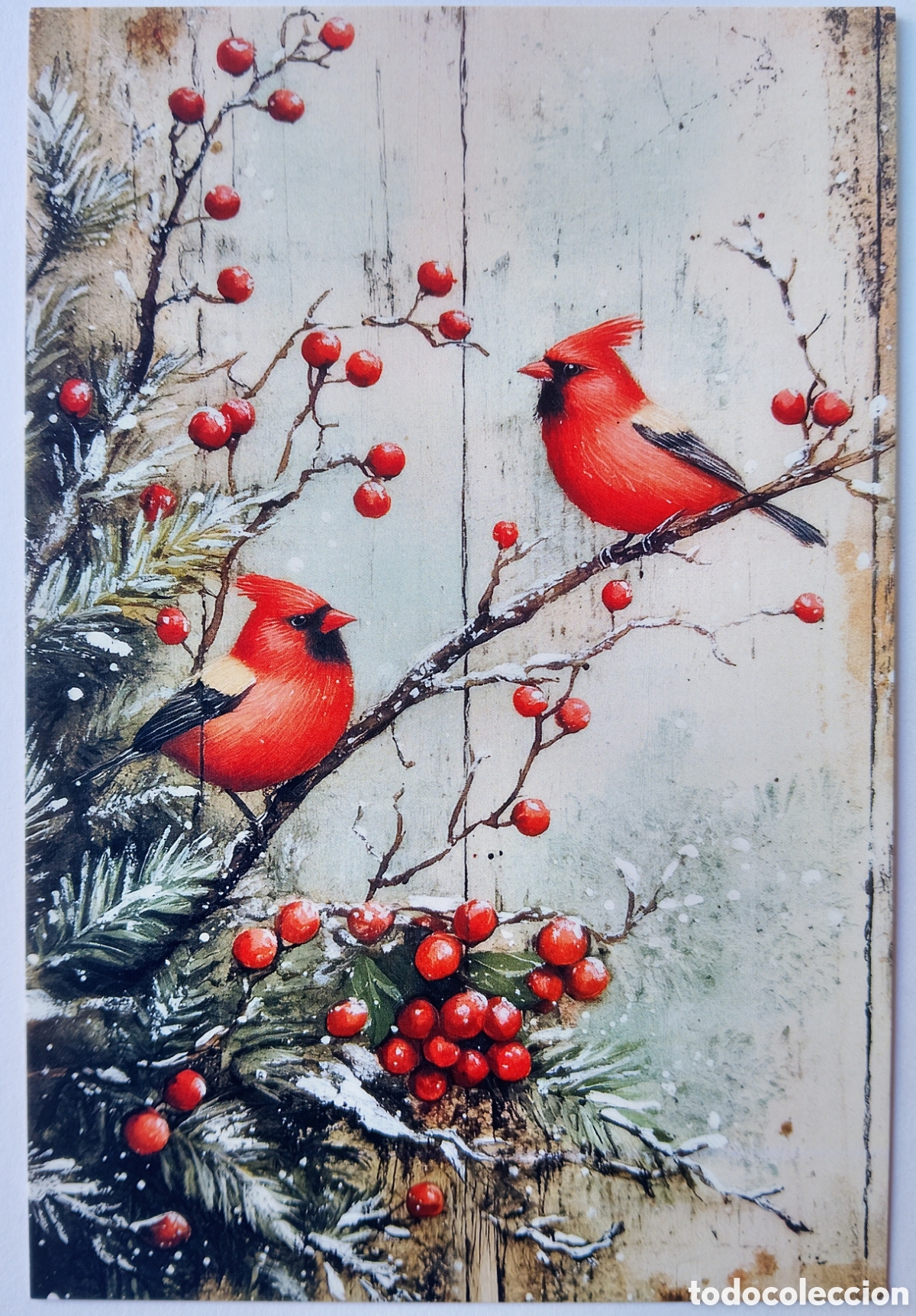 Cartoline: POSTAL NAVIDAD - PAJARITOS CARDENALES PAISAJE NEVADO - ESTILO ANTIGUO