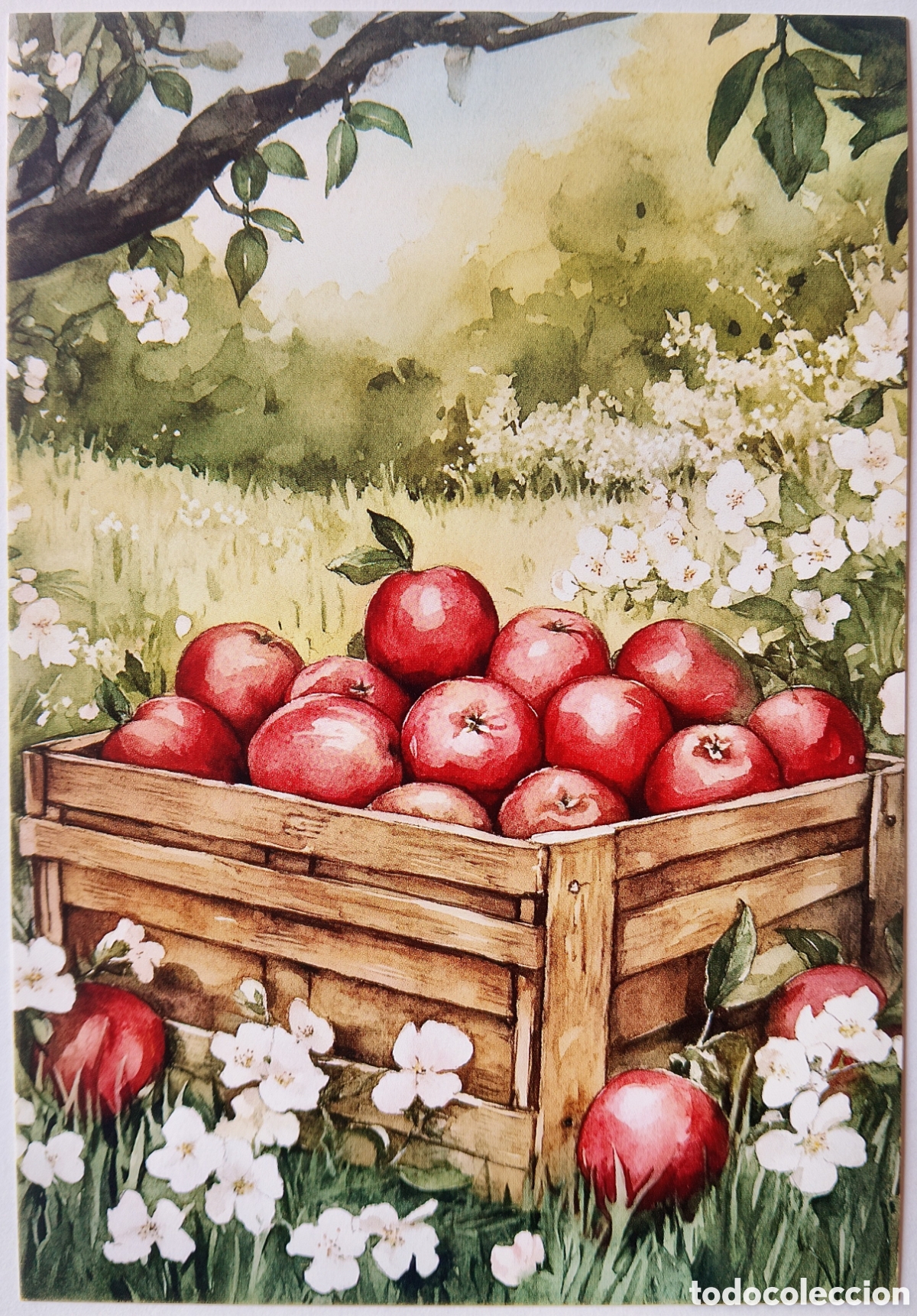 Postales: POSTAL NAVIDAD - DETALLE CAJA MANZANAS ROJAS - ESTILO ANTIGUO