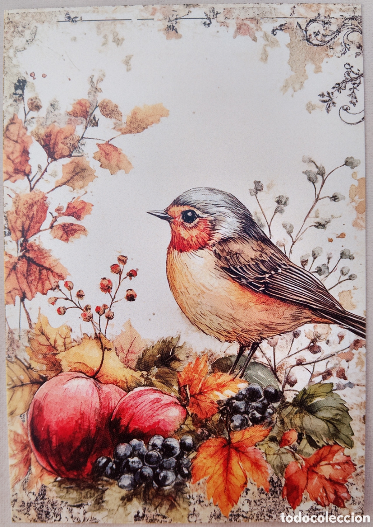 Postales: POSTAL NAVIDAD - PAJARITO FRUTAS - ESTILO ANTIGUO