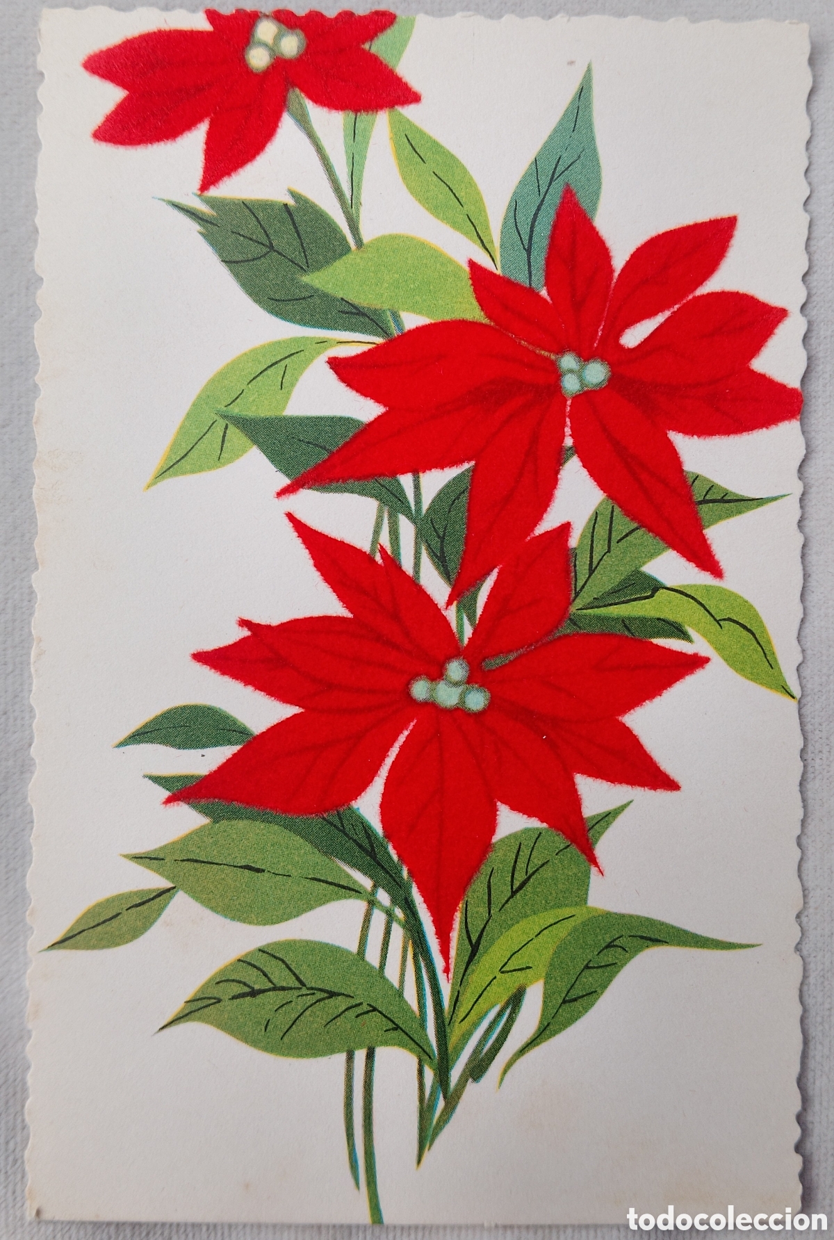 Postales: FELICITACI&Oacute;N NAVIDAD ANTIGUA - FLORES DE PASCUA - TERCIOPELO