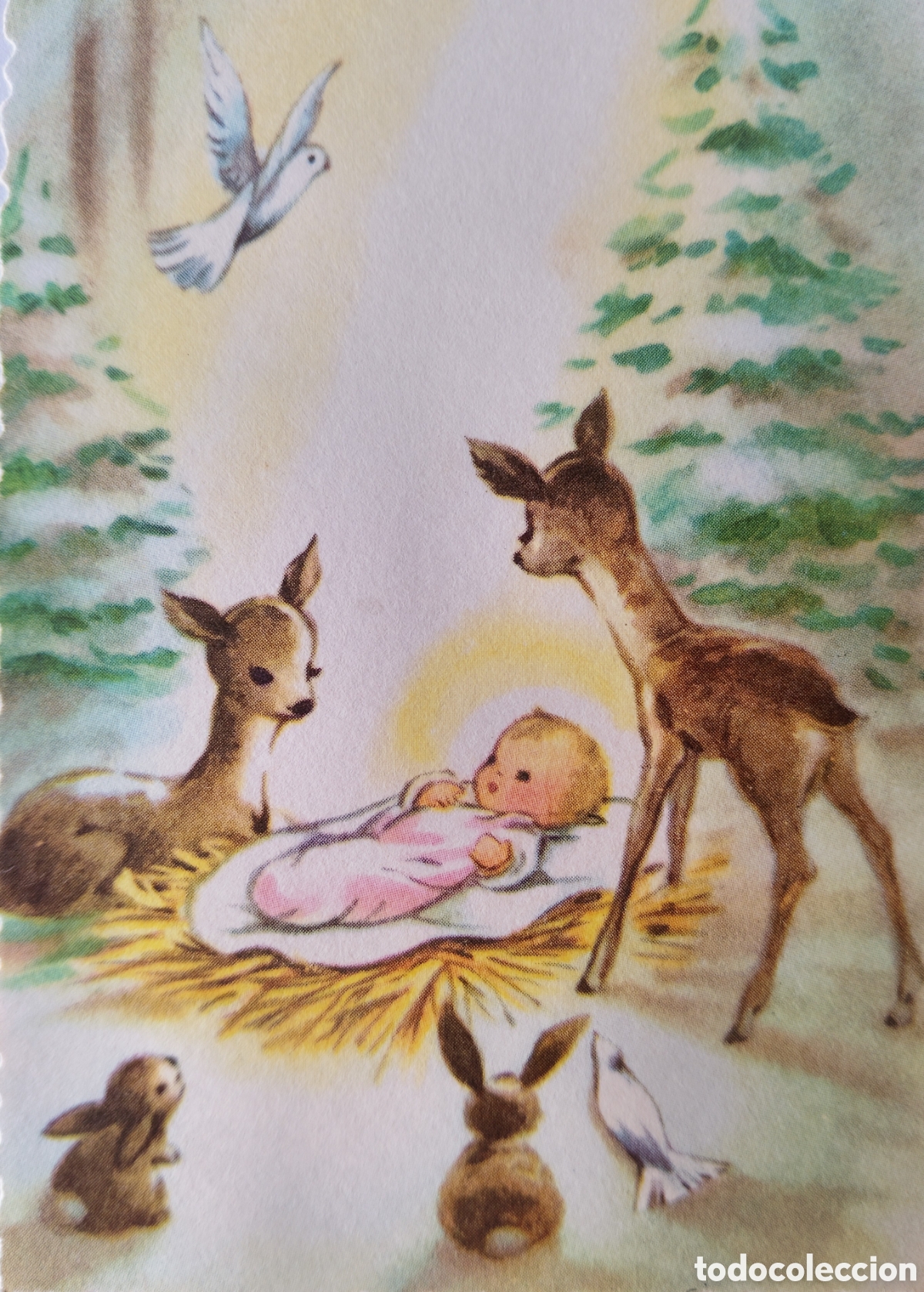 Postales: FELICITACI&Oacute;N NAVIDAD ANTIGUA - NI&Ntilde;O JES&Uacute;S PESEBRE ANIMALITOS
