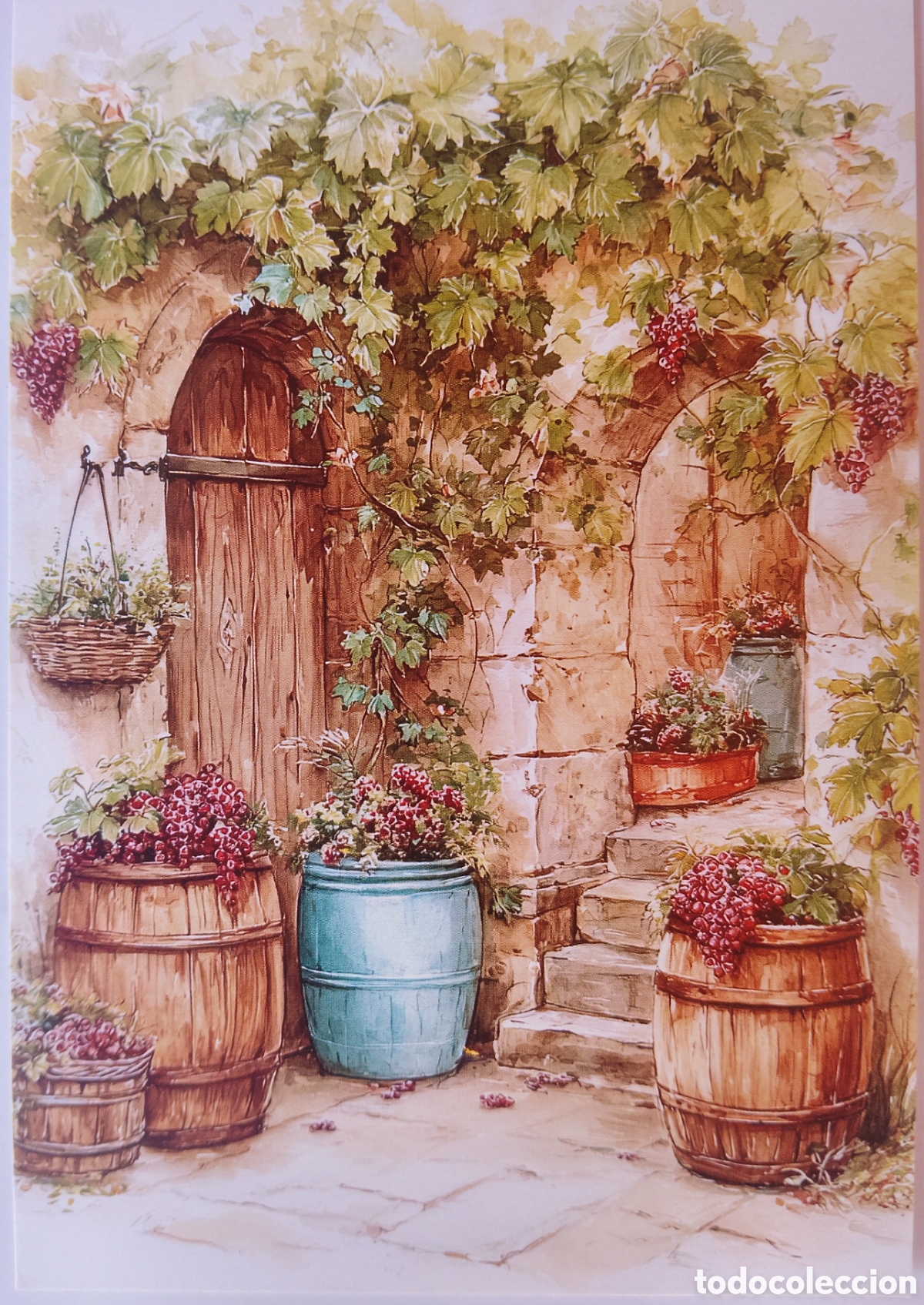 Postales: POSTAL - BARRILES VIDES UVAS BODEGA - ESTILO ANTIGUO