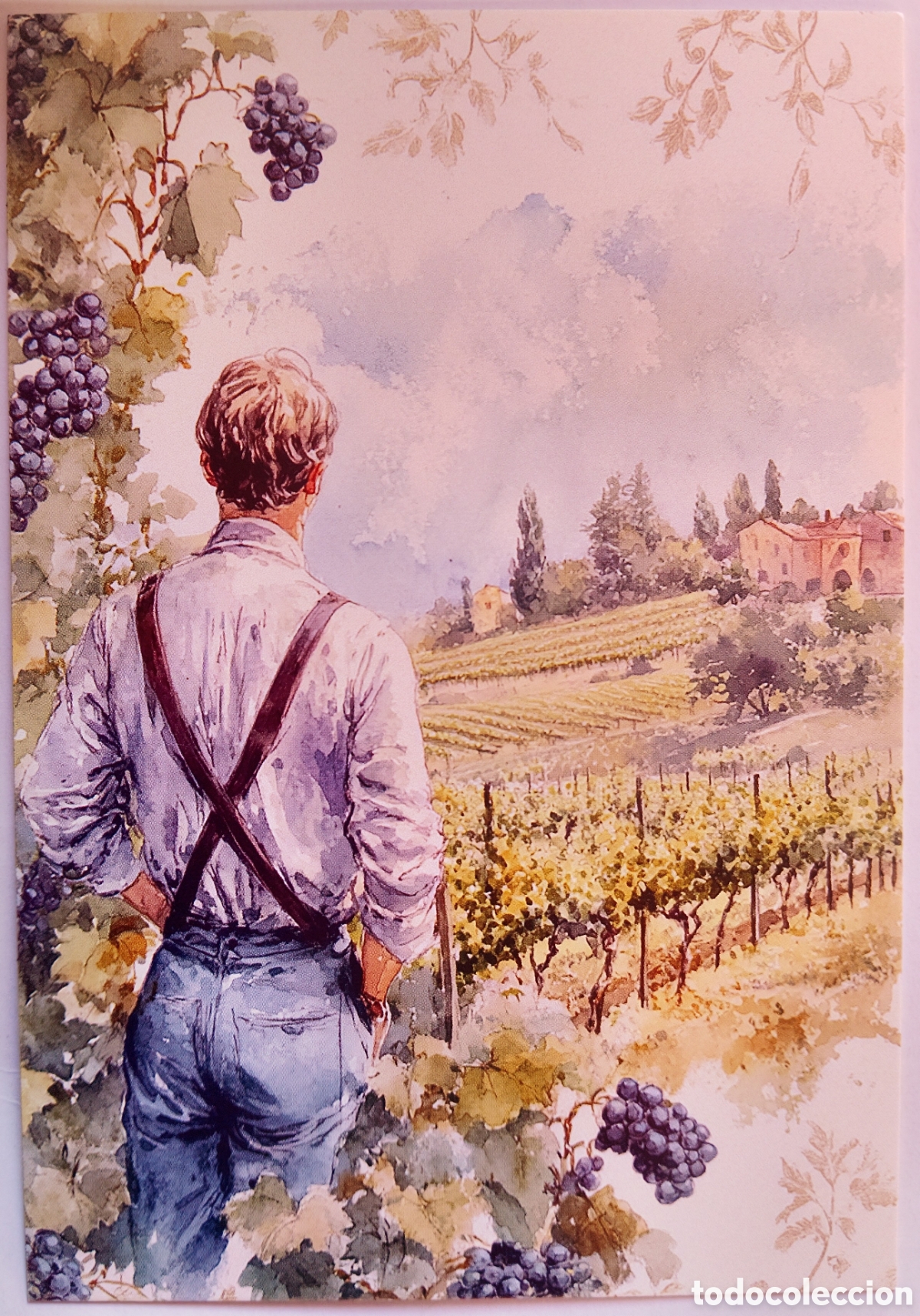 Postales: POSTAL - HOMBRE PAISAJE VI&Ntilde;EDOS UVAS - ESTILO ANTIGUO