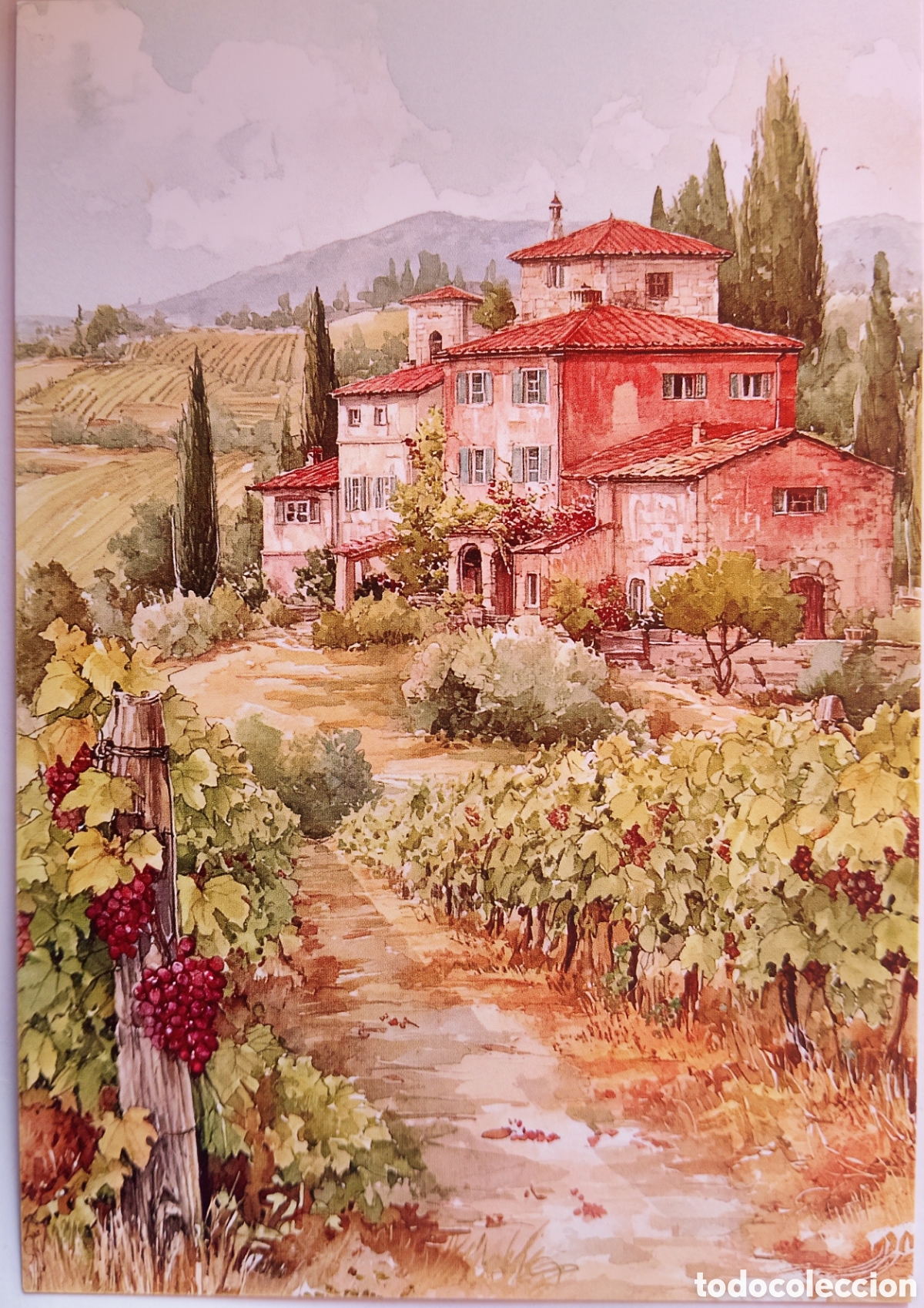 Postales: POSTAL - PAISAJE VI&Ntilde;EDOS - ESTILO ANTIGUO