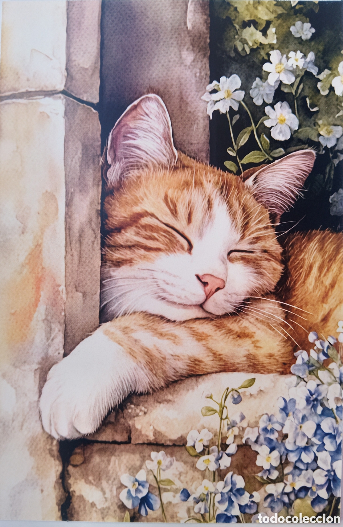 Postales: POSTAL - GATO GATITO FLORES - ESTILO ANTIGUO
