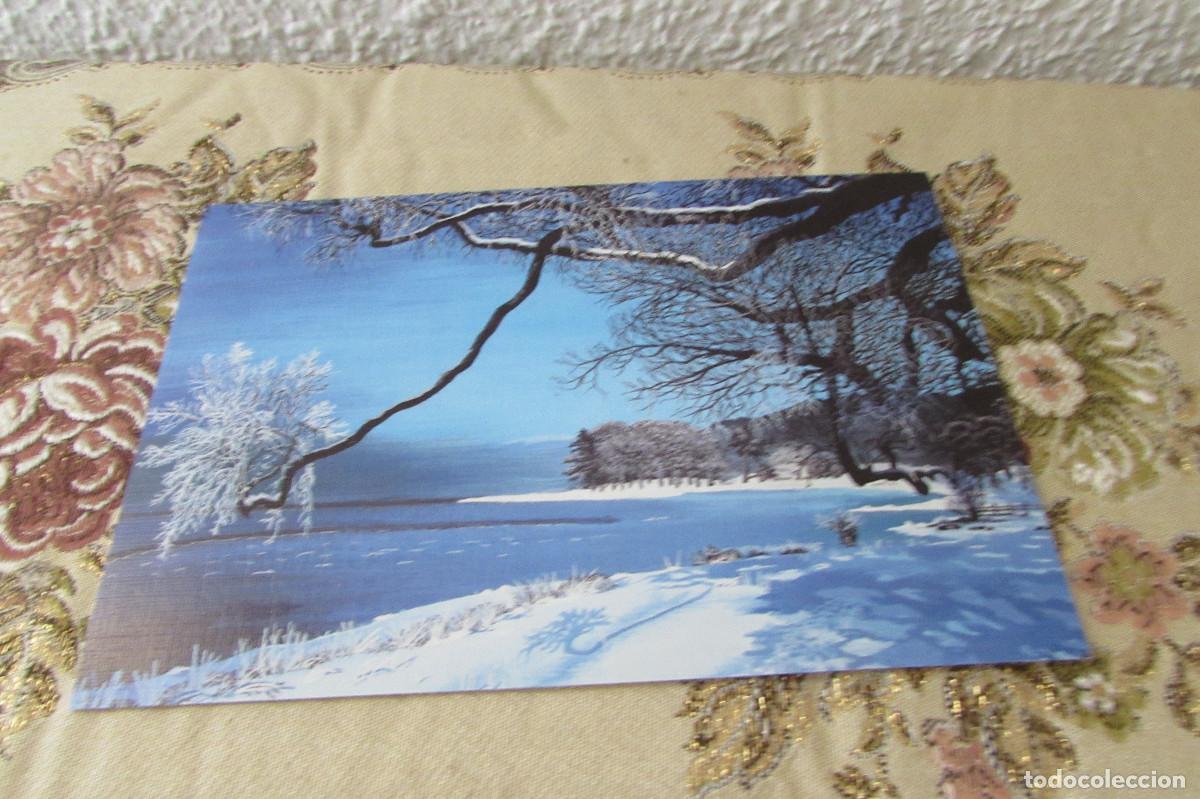 Postales: &Aacute;rbol Nevado sobre el Lago pintado por Trevor Wells, pintor con la boca