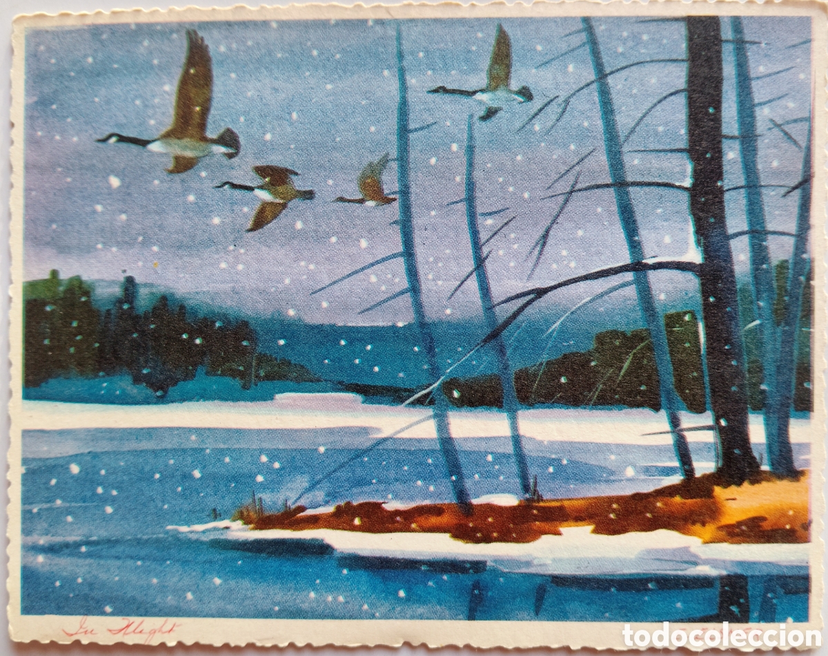 Postales: FELICITACI&Oacute;N NAVIDAD ANTIGUA - P&Aacute;JAROS PAISAJE NEVADO