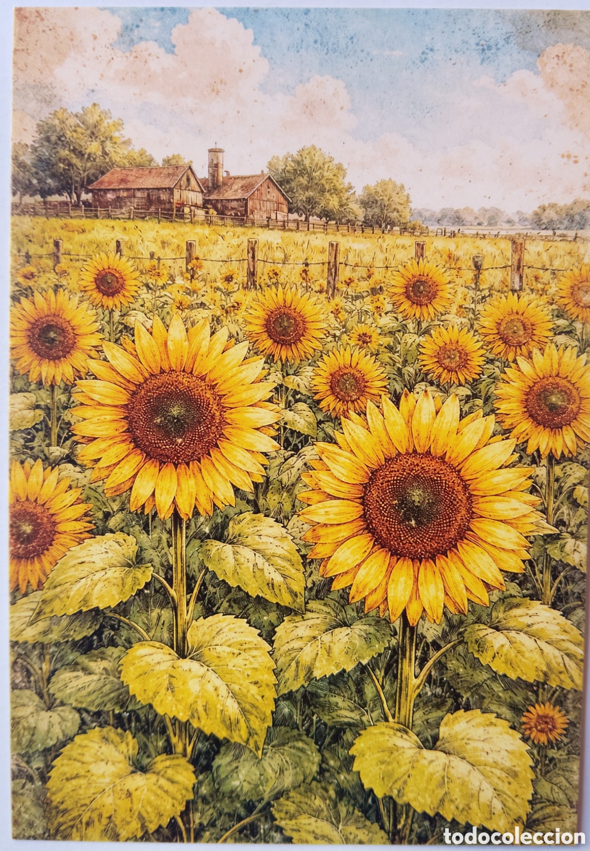 Postales: POSTAL - CAMPO GIRASOLES GRANJA - ESTILO ANTIGUO