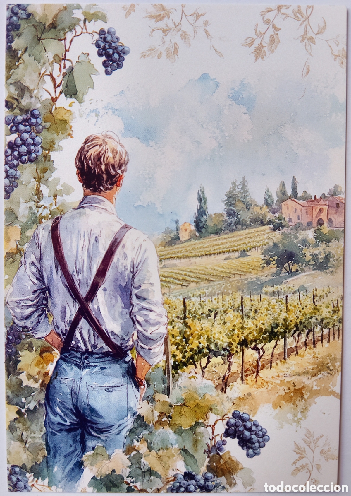 Cartes Postales: POSTAL - HOMBRE PAISAJE VI&Ntilde;EDOS UVAS - ESTILO ANTIGUO