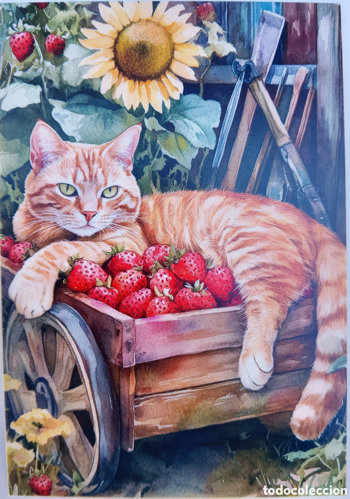 Postales: POSTAL NAVIDAD - GATO GATITO FRESAS GIRASOLES - ESTILO ANTIGUO