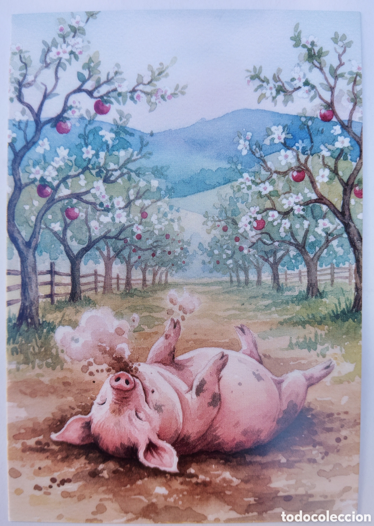 Postales: POSTAL - CERDITO MANZANOS - ESTILO ANTIGUO