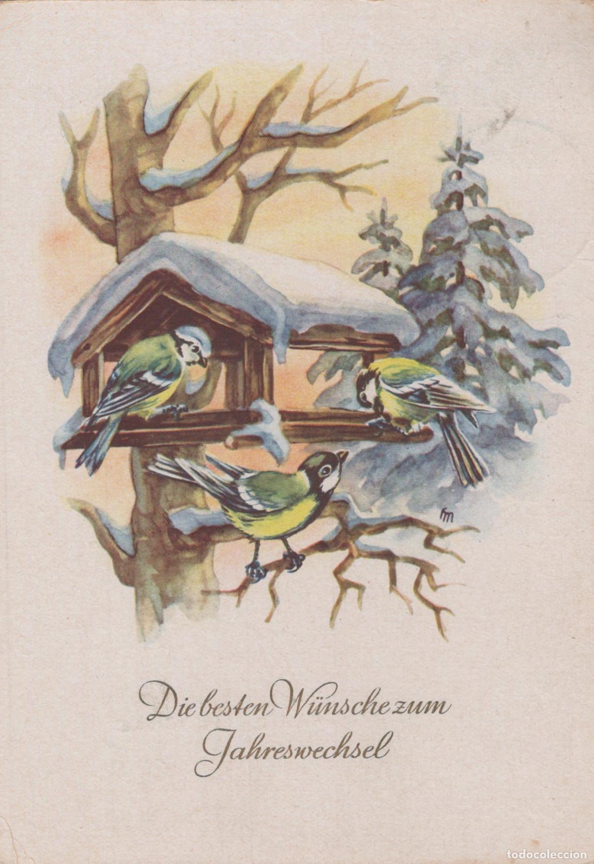 Postales: Germany Ebersbach Winter Birds At Feeder New Year Wishes 1959 *YAS536
