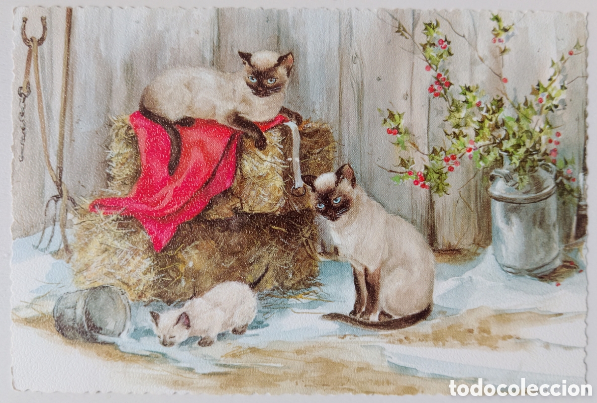 Postales: FELICITACI&Oacute;N NAVIDAD ANTIGUA - FAMILIA GATOS GATITOS LECHE PAJAR