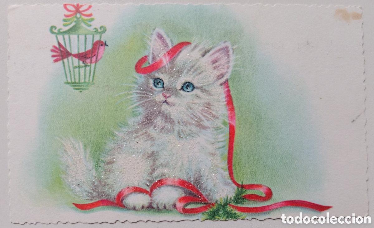 Postales: FELICITACI&Oacute;N NAVIDAD ANTIGUA - GATO GATITO PAJARITO