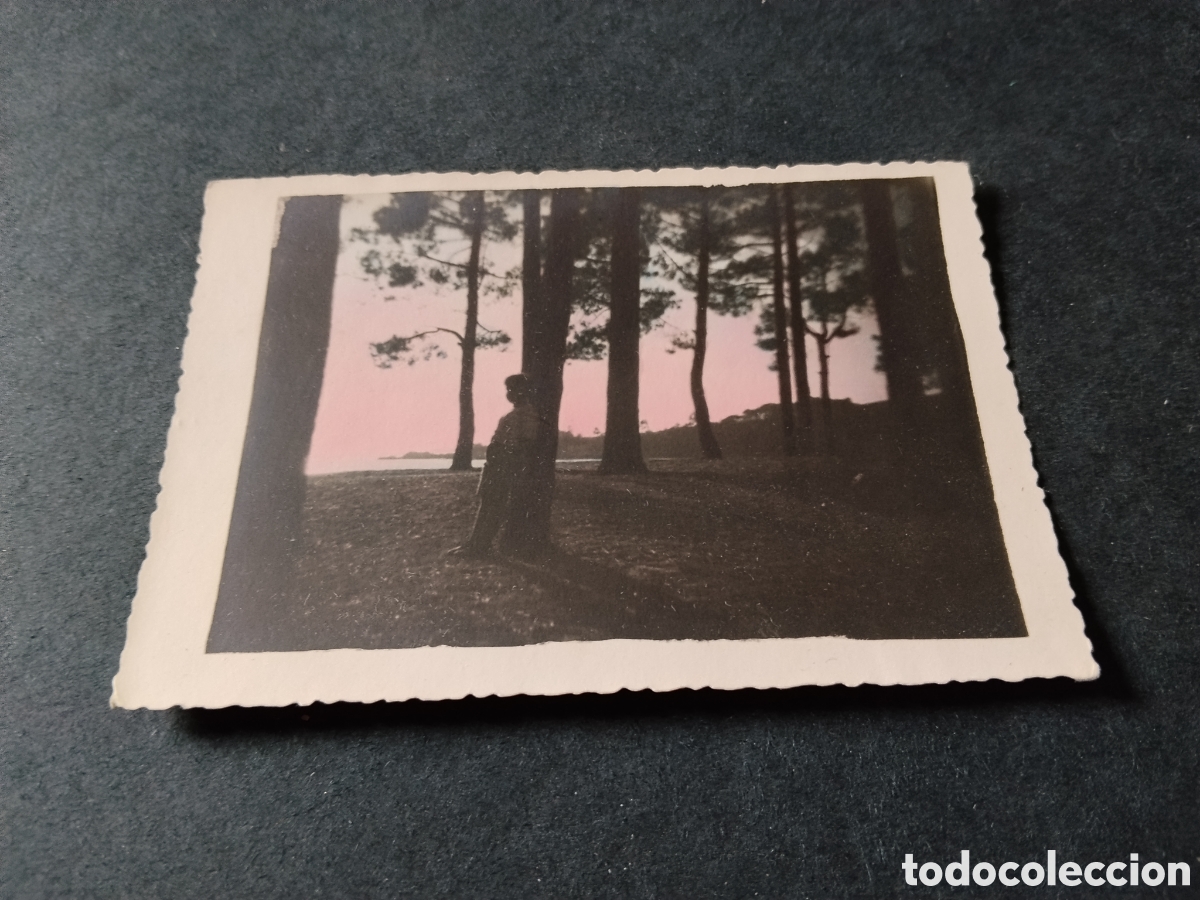 Postales: Postal felicitaci&oacute;n navidad,puesta de sol mujer &aacute;rboles