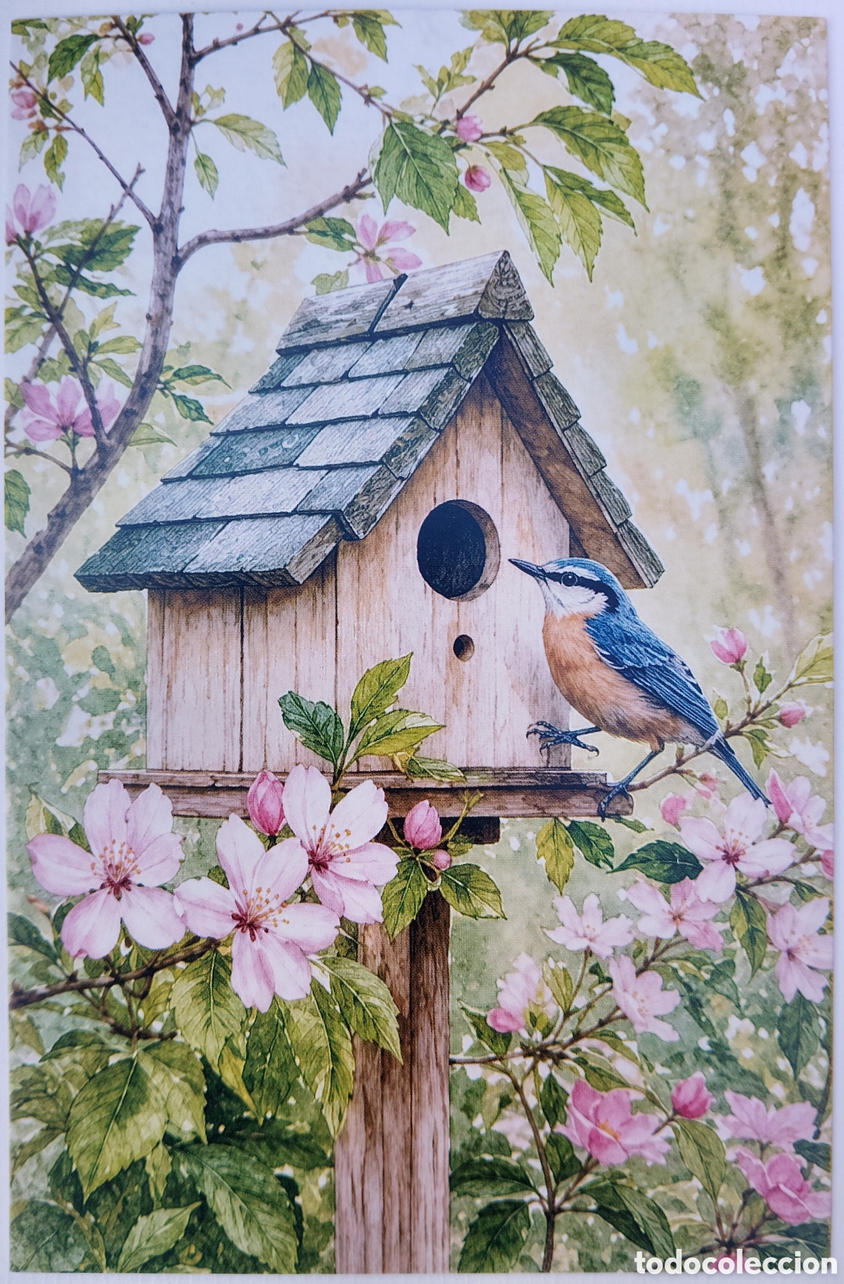 Postales: POSTAL - CASITA PAJARITO - ESTILO ANTIGUO