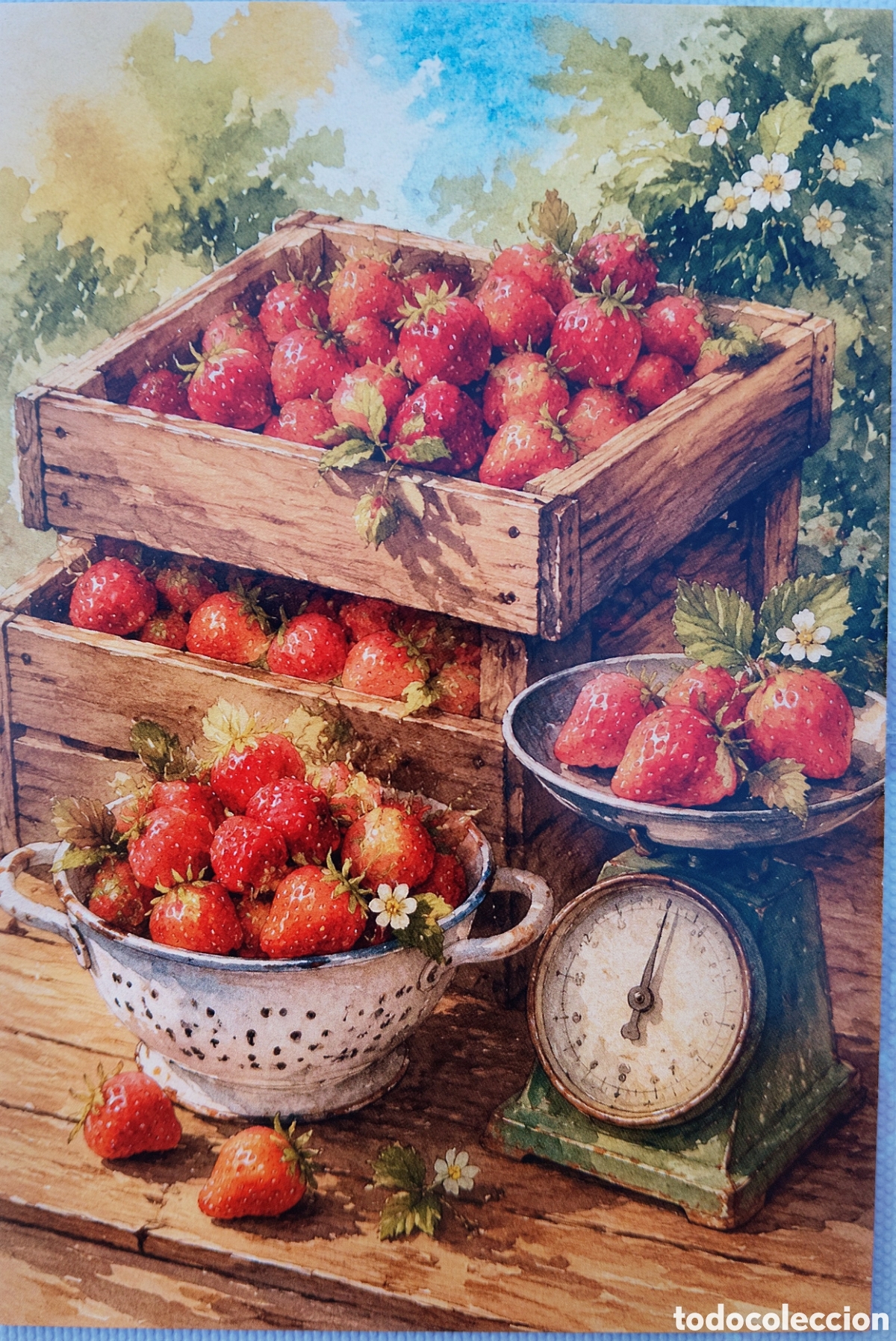 Postales: POSTAL - DETALLE FRESAS - ESTILO ANTIGUO