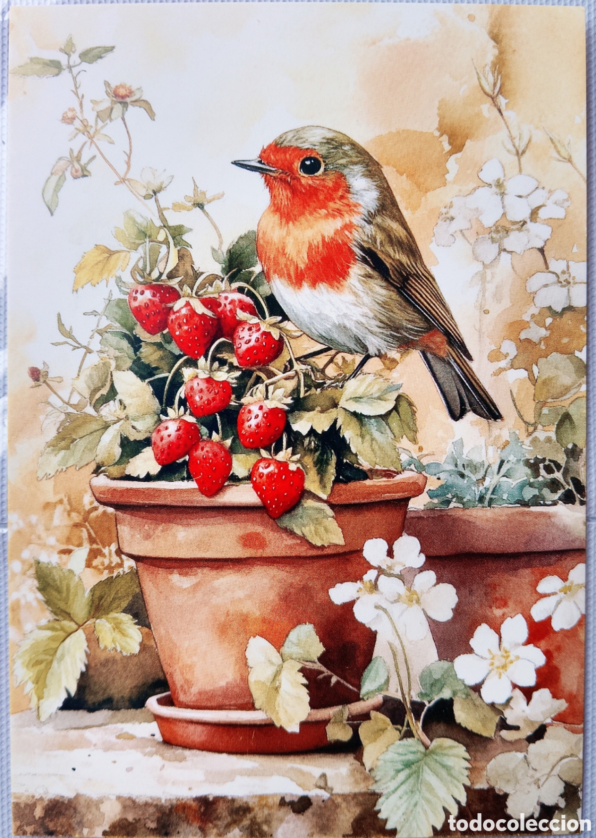 Postales: POSTAL - PAJARITO FRESAS - ESTILO ANTIGUO