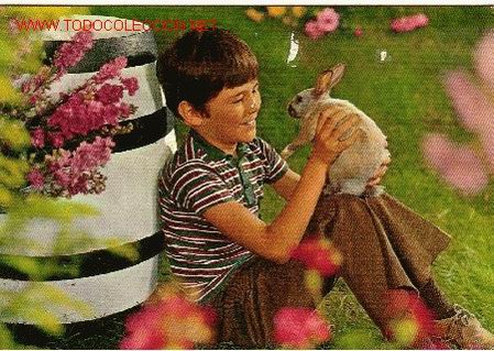 Postales: NI&Ntilde;O CON CONEJO - Foto 1