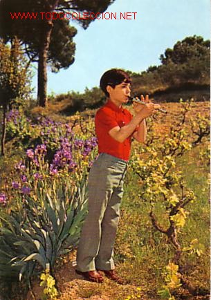 Postales: NI&Ntilde;O CON FLAUTA - Foto 1