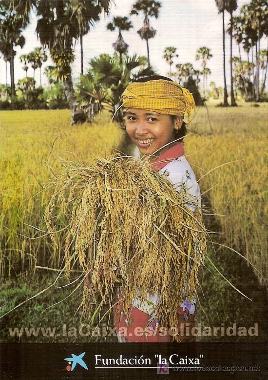 Postales: Postal de ni&ntilde;a asi&aacute;tica trabajando el campo. - Foto 1