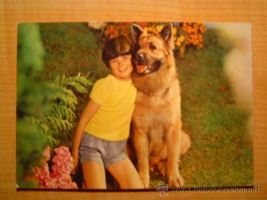 Postales: POSTAL NI&Ntilde;O CON EL PERRO ESCRITA - Foto 1