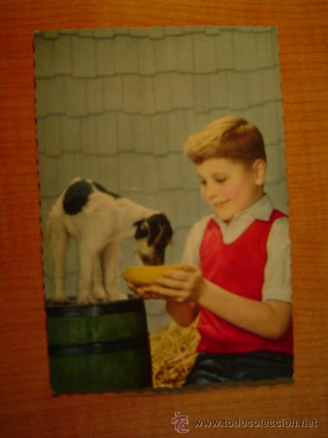 Postales: POSTAL NI&Ntilde;O CON SU PERRO SIN CIRCULAR - Foto 1