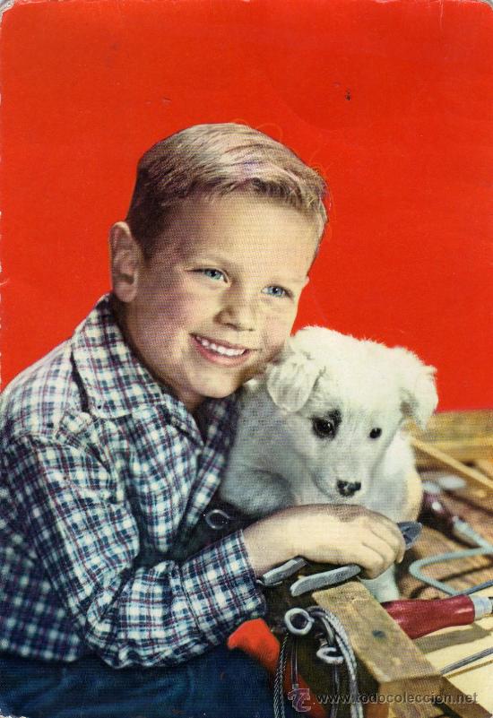 Postales: POSTAL ESCRITA SIN CIRCULAR,NI&Ntilde;O CON PERRO CACHORRO - Foto 1
