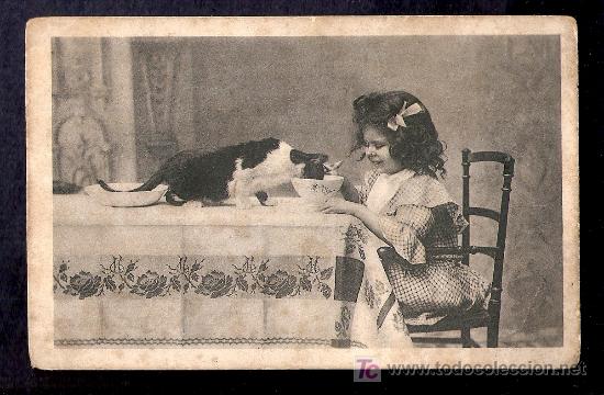 Postales: PRECIOSA POSTAL NI&Ntilde;A CON SU GATO - Foto 1