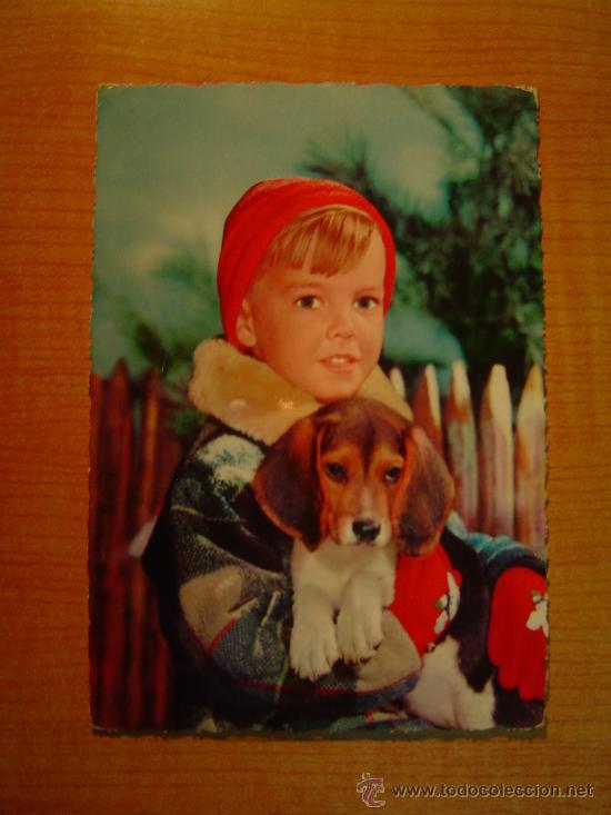 Postales: POSTAL NI&Ntilde;O CON EL PERRO ESCRITA - Foto 1