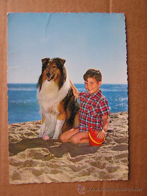 Postales: TARJETA POSTAL DE NI&Ntilde;O CON PERRO. 1969 - Foto 1