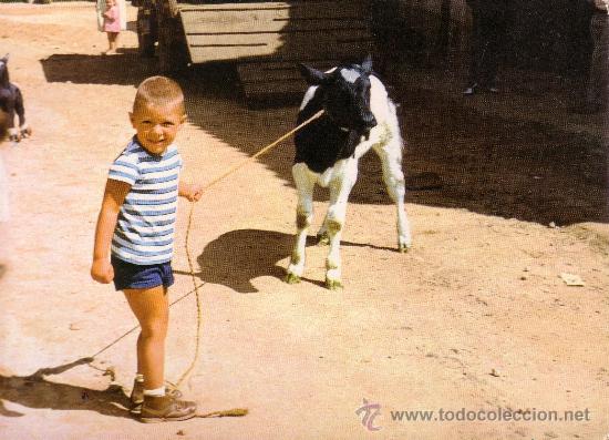 Postales: POSTAL TEMATICA DE NI&Ntilde;OS - Foto 1