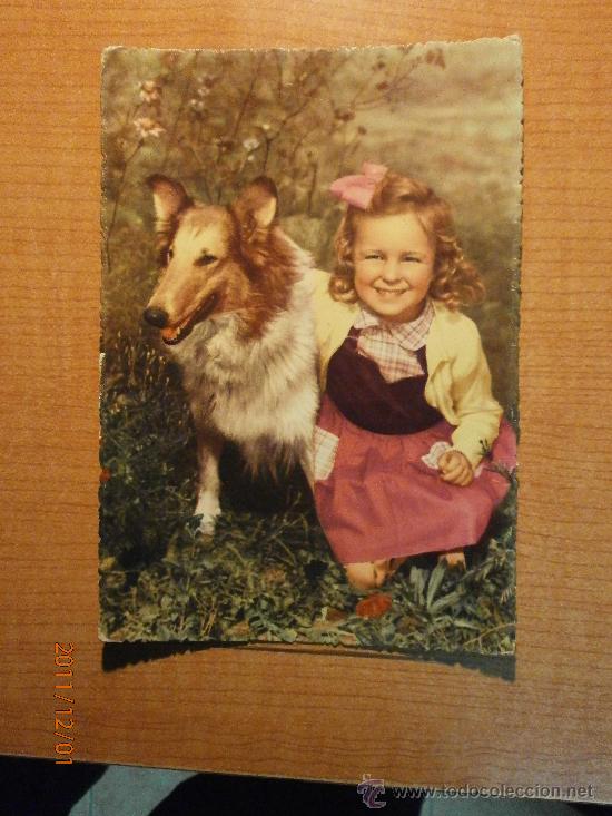 Postales: ANTIGUA POSTAL NI&Ntilde;O CON EL PERRO ESCRITA - Foto 1