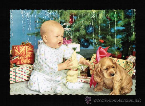 Postales: BONITAL POSTAL BEB&Eacute; CON PERRITO - CYZ 6054 - Foto 1