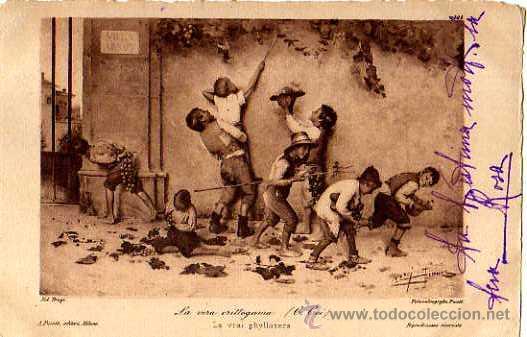 Postales: Ni&ntilde;o recogiendo uvas. Circulada - Foto 1