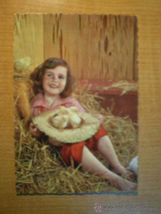 Postales: POSTAL NI&Ntilde;A . CON LOS POLLITOS  ESCRITA - Foto 1