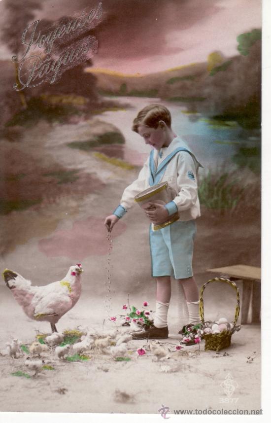 Postales: POSTAL DE NI&Ntilde;OS - GALLINA - POLLITOS - Foto 1