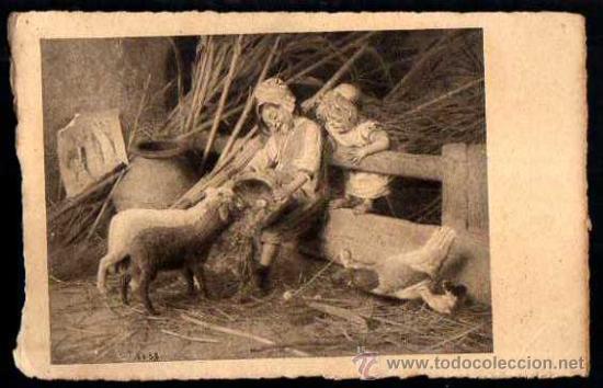 Postales: Ni&ntilde;a dando de comer a uno corderos . Sin circular. - Foto 1