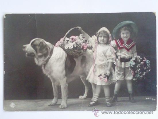 Postales: ANTIGUA POSTAL, NI&Ntilde;O NI&Ntilde;A Y PERRO - Foto 1