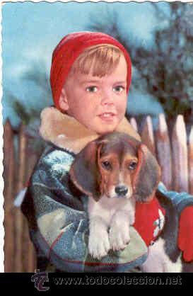 Postales: Postal ni&ntilde;o con perrito (1963) - Foto 1