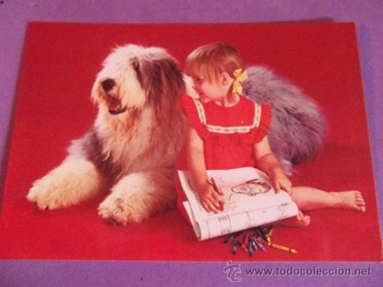 Postales: NI&Ntilde;OS-V19- NO ESCRITA-VARIOS - Foto 1