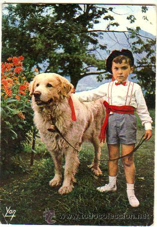 Postales: POSTAL NI&Ntilde;O CON PERRO** SIN CIRCULAR - Foto 1