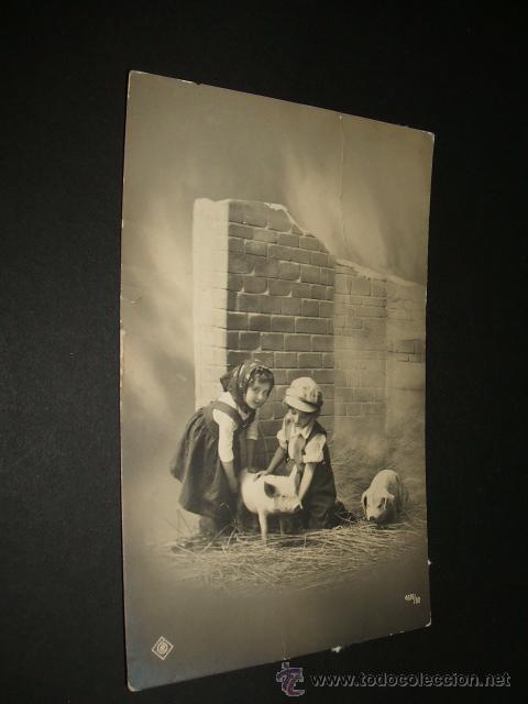 Postales: POSTAL NI&Ntilde;OS CON CERDOS - Foto 1