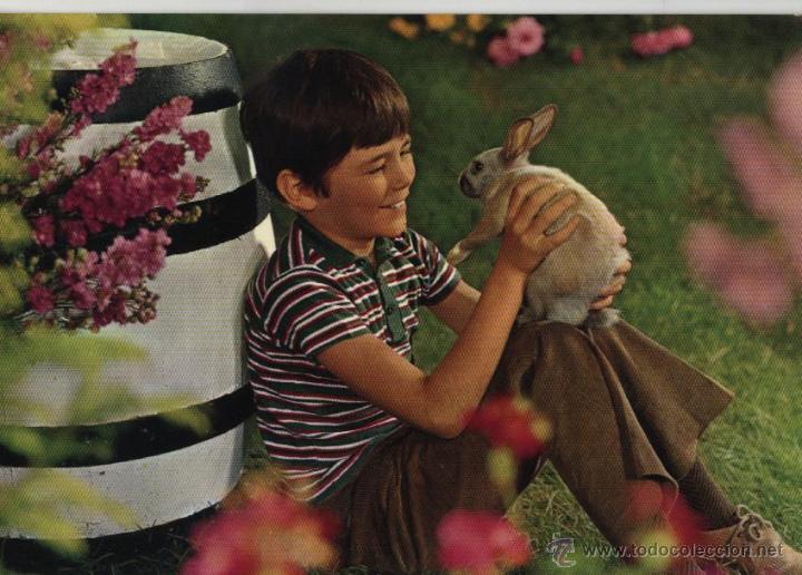 Postales: Postal ni&ntilde;o con conejito - Foto 1