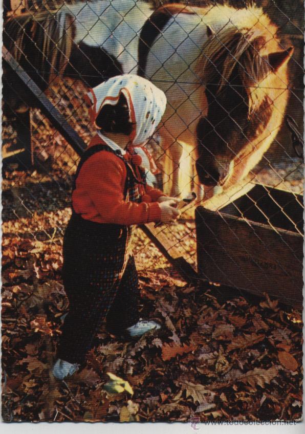 Postales: Postal ni&ntilde;a con caballo - Foto 1