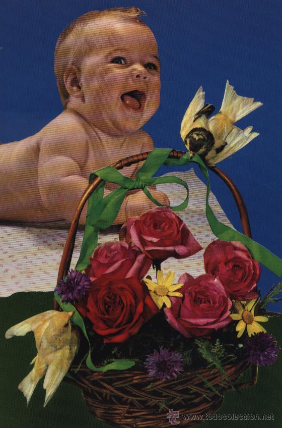 Postales: Postal ni&ntilde;o con cesta y pajaritos - Foto 1