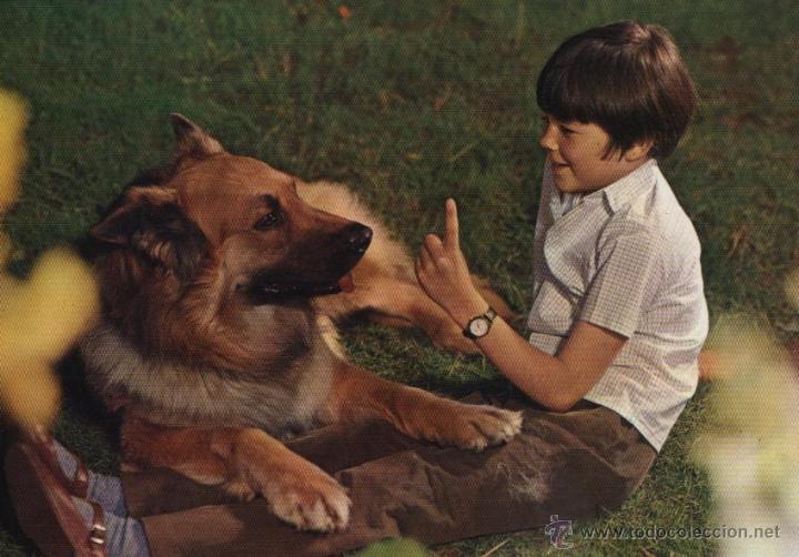 Postales: Postal ni&ntilde;o con perro - Foto 1