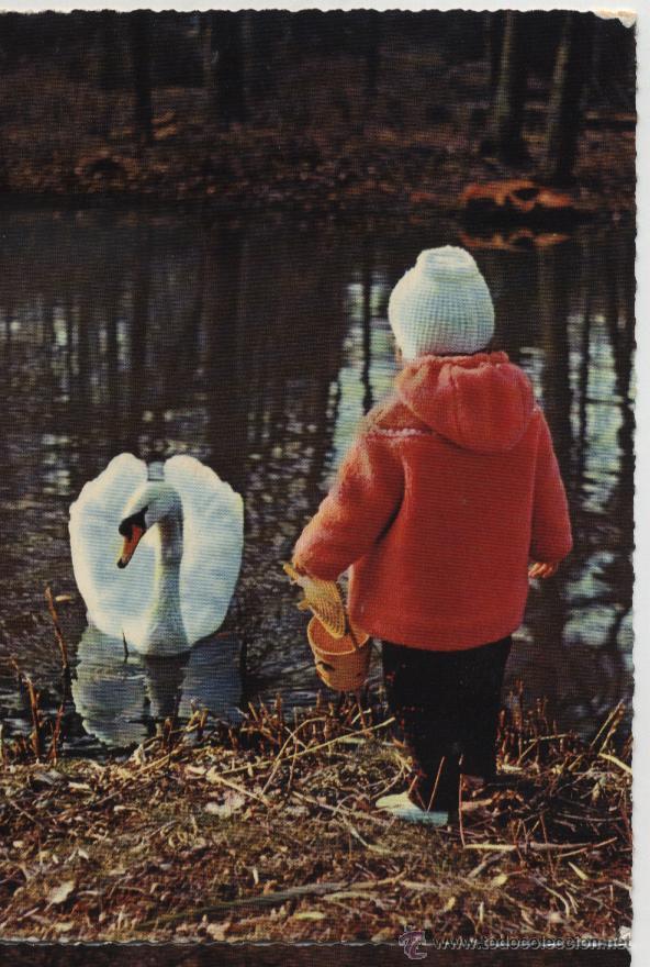 Postales: Postal ni&ntilde;a con cisne - Foto 1