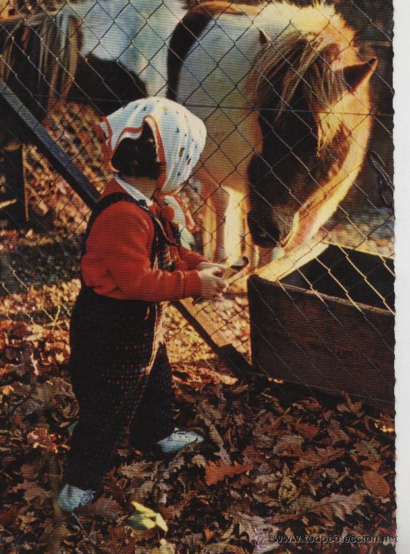 Postales: Postal ni&ntilde;a con caballo y pa&ntilde;uelo - Foto 1