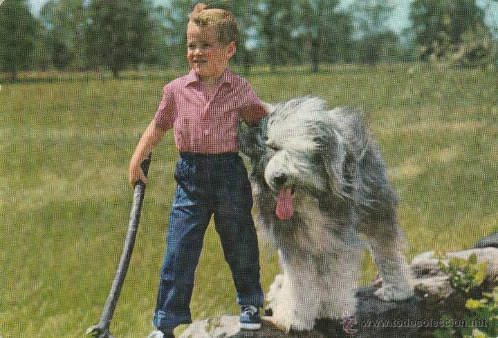 Postales: N&ordm; 18496 POSTAL NI&Ntilde;O CON PERRO - Foto 1